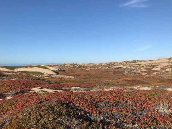 Country Inn & Suites by Radisson, Monterey Beachfront-Marina, CA image 13